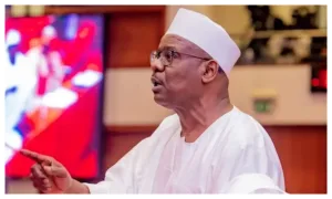 2027: Narrative around Tinubu’s academic credentials distraction – Ndume
