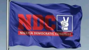 NDC crisis: ‘Hold NWC members responsible’ – Enugu scribe, Okafor tells aggrieved aspirants
