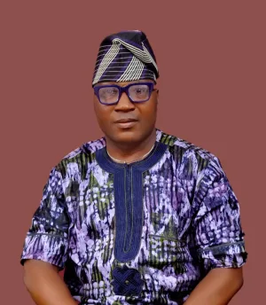 2027: Ogun guber race must be about credibility not cash, popularity – PDP Assembly candidate