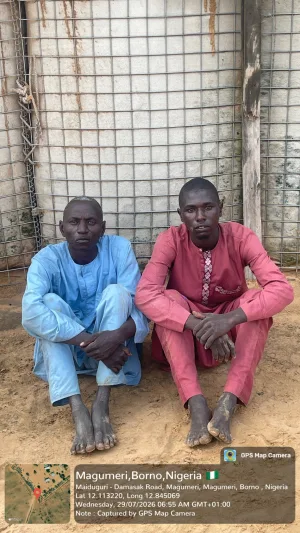 Troops arrest two suspected ISWAP collaborators in Borno [PHOTOS]