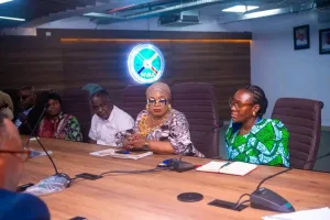 Lagos to introduce special vehicle number plates for persons with disabilities
