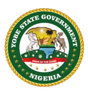 Yobe begins process for LG development area councils, sets up committee