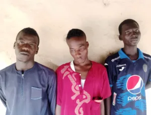 Adamawa court jails three Shila boys 10 years each for extortion