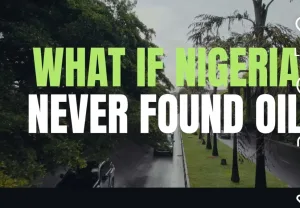 What if Nigeria Never discovered Oil— And built its future on Agriculture?