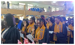 Professionalism, ethical values sustain careers — OAU Don