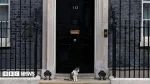 Fake 10 Downing Street listing exposes 'unfit' Booking.com, says consumer group
