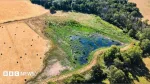 Experts battling extinctions after record heat