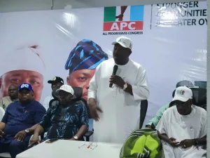 2027: APC has what it takes to defeat Makinde’s APM – Alli