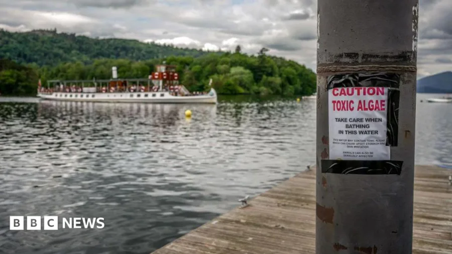 Majority of England's rivers and lakes fail new environmental review