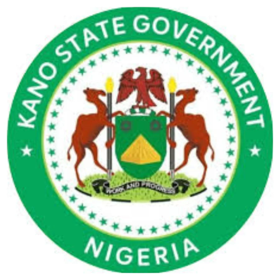 Kano investigates reported diphtheria deaths of 50 children