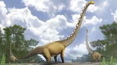 New dinosaur species with neck as long as cricket pitch discovered in Thailand