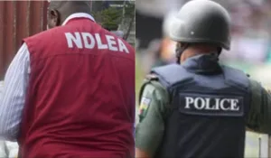 Hard drugs, substance abuse fuelling terrorism, kidnapping – Police, NDLEA warn