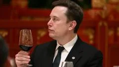 'Let's enjoy the ride' says Elon Musk, as AI fears mount