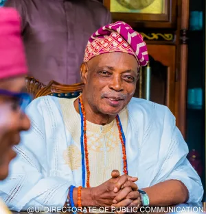 Why we visited Tinubu – Olubadan 