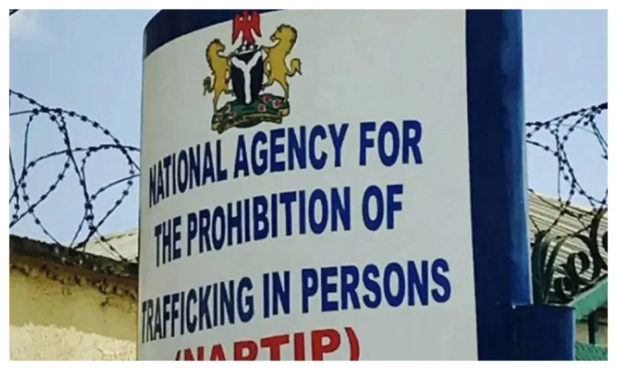NAPTIP calls for coordinated media response to SGBV