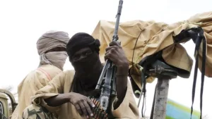 Suspected Boko Haram terrorists kill forest guard, three others in Adamawa