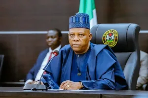 Only six out of 19 Northern govs supported Tinubu in 2023 – Shettima makes revelation
