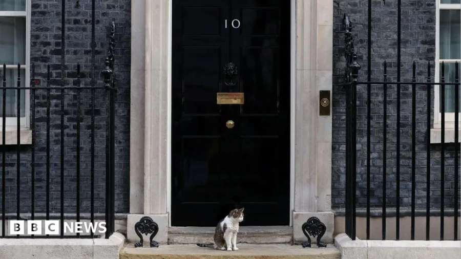 Fake 10 Downing Street listing exposes 'unfit' Booking.com, says consumer group