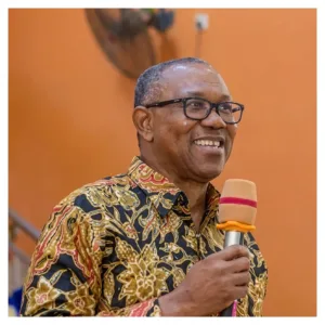 2027: You have the power to ensure credible elections – Peter Obi to Nigerians