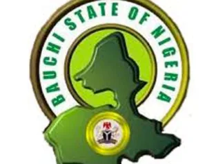 Man killed over witchcraft allegation, another stabbed to death in Bauchi