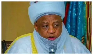 ‘Criminal herders should not be used to judge peaceful Fulani people’ — Sultan