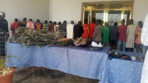 Yobe Police record 152 convictions, arrest 448 suspects in one year