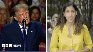 Watch: Three times Trump has promised money to Americans