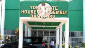 Yobe Assembly approves second reading of Biomedical Engineering Institute Bill