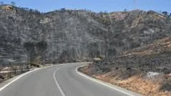 Badly burned British couple rescued from ravine during Spain wildfires