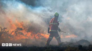 Scots urged to 'stay vigilant' as wildfire risk very high