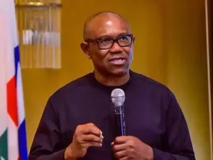 2027: I will change the North if elected president – Peter Obi