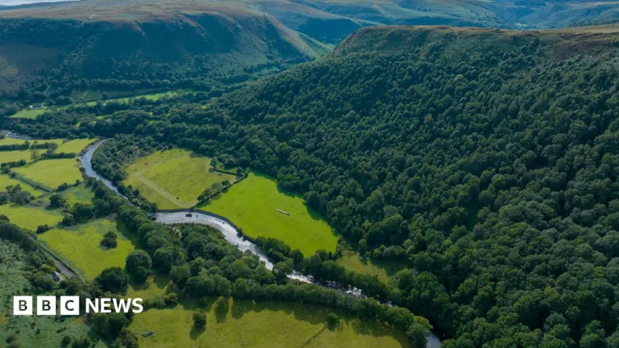 RSPB buys 'magical' 96-hectare landscape to reconnect habitats
