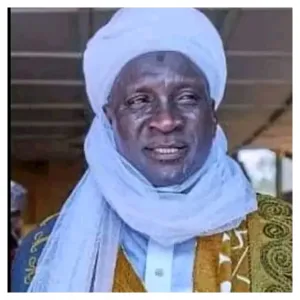 Bago condemns killing of village head in Niger palace