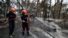 Volunteer firefighter suspected of starting devastating France forest fire