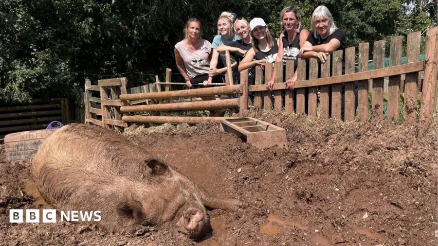 Animal sanctuary facing closure due to hot weather