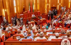 Northern senators demand immediate state police after Adamawa, Sokoto terror attacks