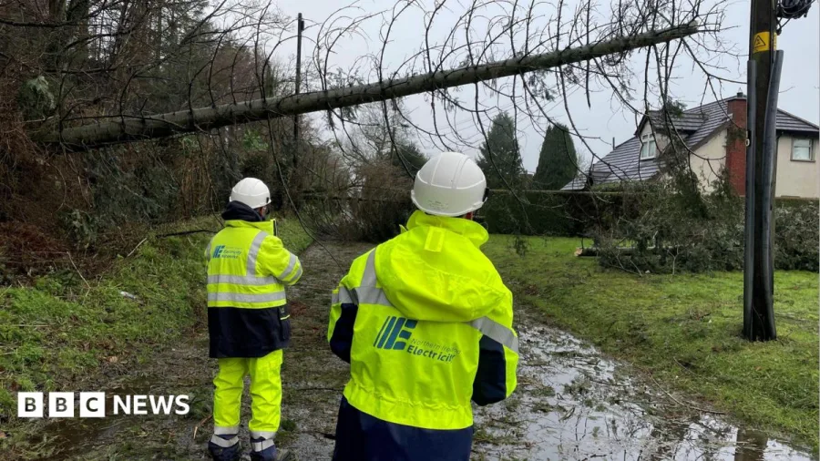 Minister to bring forward storm compensation law