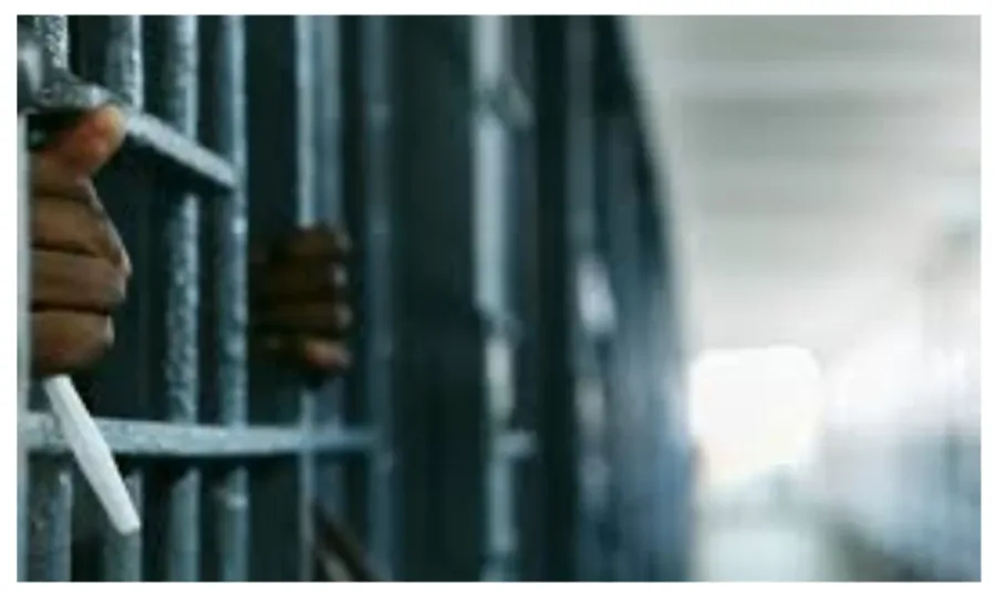 Phone snatcher bags eight-year jail term in Adamawa
