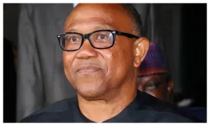 2027: Peter Obi remains best choice to rebuild Nigeria  — PDP chieftain