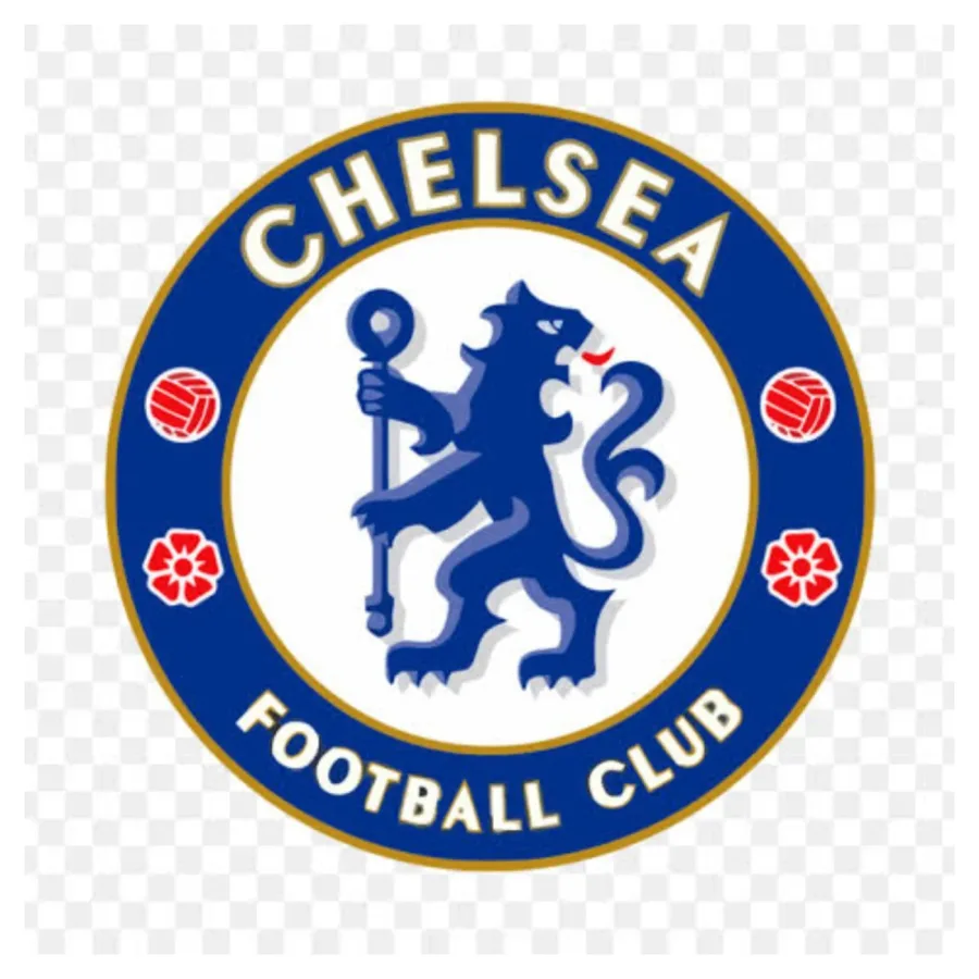 EPL: Chelsea identify 16-year-old midfielder to replace Enzo Fernandez