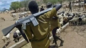 Scores killed as suspected herdsmen attack Benue community