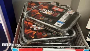 Temporary ban on sale of disposable BBQs over wildfire risk
