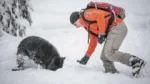 Canada stops using 'avalanche dogs' for rescues in Rocky Mountains, stirring outrage