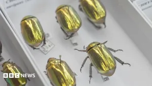 How AI is creating a UK super-museum and revealing our planet's history