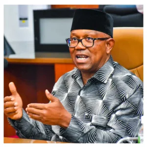 2027: ‘Four years, not a day more’ – Peter Obi insists on single-term presidency