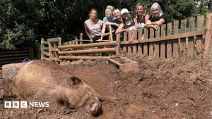 Animal sanctuary facing closure due to hot weather