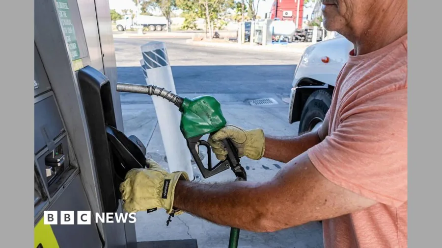 What a US diesel export ban could mean for you