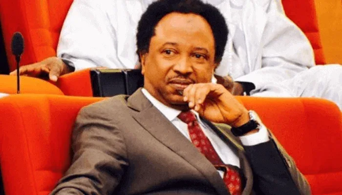 Trump’s $5000 promise to Americans: US now copying Africa – Shehu Sani