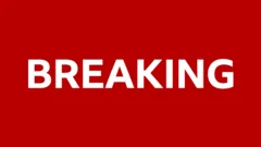 Actress Hayden Panettiere dies aged 36, US media report