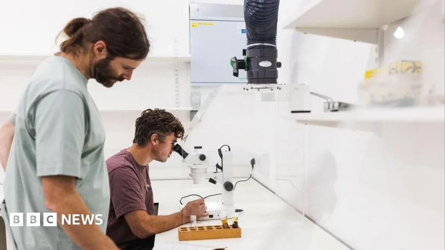 New lab to become centre for investigating uplands